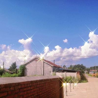 bsport体育在线登录