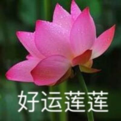 leyu乐鱼·体育手机app下载
